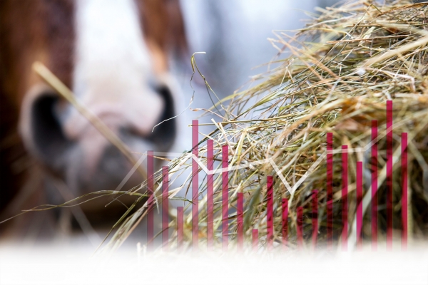 resultaten-ruwvoeranalyse-voor-paarden